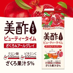 [公式] 美酢 ビューティータイム ざくろ&a...の詳細画像1