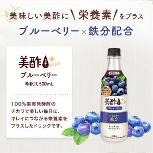美酢プラス ブルーベリー 500ml 【公式】...の詳細画像2