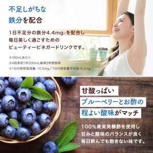 美酢プラス ブルーベリー 500ml 【公式】...の詳細画像3