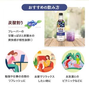 美酢プラス ブルーベリー 500ml 【公式】...の詳細画像5