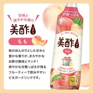 美酢 大容量 8本セット 7フレーバーから選べ...の詳細画像2