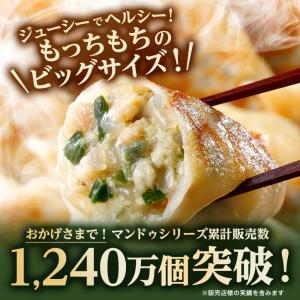 餃子【公式】 bibigo 王マンドゥ(王餃子...の詳細画像2