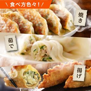 餃子【公式】 bibigo 王マンドゥ(王餃子...の詳細画像5