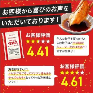 【餃子計画】冷凍 餃子 国産 えび餃子30個+...の詳細画像2