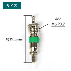 バルブコア 虫ゴム カー エアコン 冷媒 R1...の詳細画像2