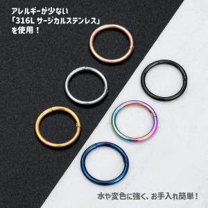 ボディピアス 18G 16G 14G セグメン...の詳細画像1