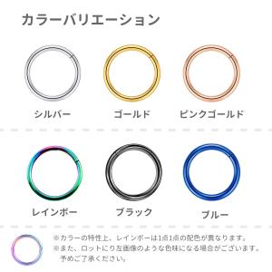 ボディピアス 18G 16G 14G セグメン...の詳細画像2