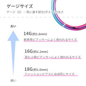 ボディピアス 18G 16G 14G セグメン...の詳細画像4