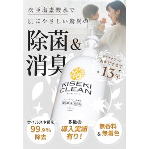 キセキクリーン 20リットル箱 微酸性 次亜塩...の詳細画像1