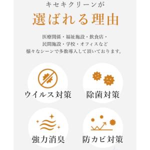 キセキクリーン 20リットル箱 微酸性 次亜塩...の詳細画像2