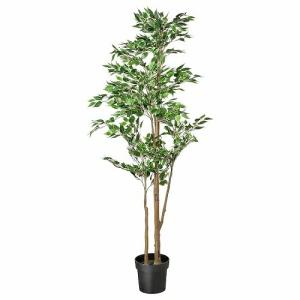 IKEA イケア　スコグスタ スツール　アカシア材　45cm SKOGSTA スコグスタ スツール, アカシア材, 45 cm - IKEA