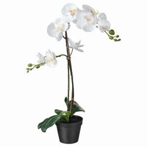 IKEA イケア 人工観葉植物 Orchid ホワイト 12x58cm m20294940 FEJKA フェイカ｜clair-kobe