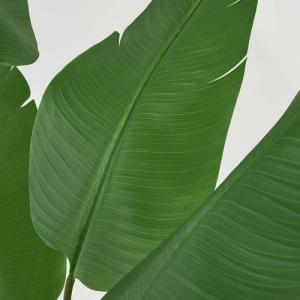 IKEA イケア 人工観葉植物 室内/屋外用/...の詳細画像5