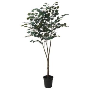 IKEA イケア 人工観葉植物 室内/屋外用 ユーカリ 19cm m90600875 FEJKA フェイカ
