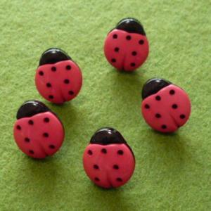 ピンクのてんとう虫