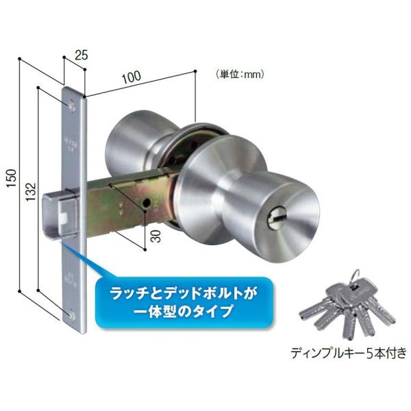 D36 ミリオンロック / 1セット入り 12518601 アルファ