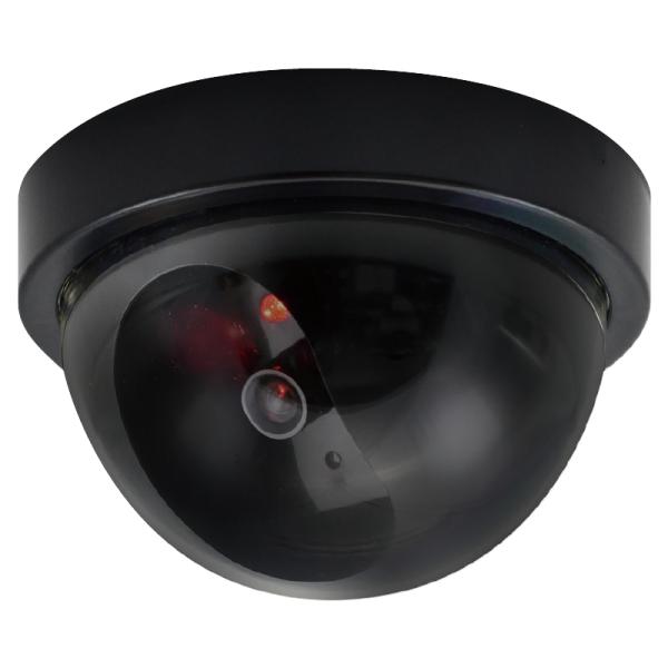 ＥＬＰＡダミーカメラ, ＤＣ−００２　　ドームガタ, 664-0562