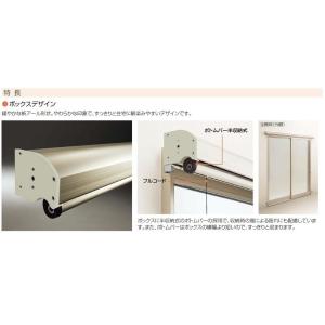 アウターシェード 18 洋風すだれ Apw 定価 330 331 シャッター付引違い窓用 1枚仕様 Ap 300mm 製品h 1 メーカー在庫限り 870mm Ykk 製品w 1