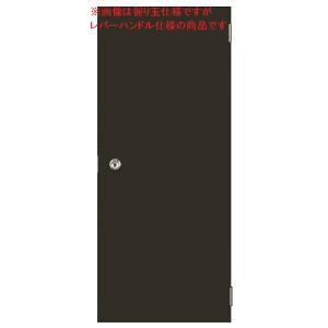 ロンカラーフラッシュドア フラット ドア本体(サイズ呼称：0818 / Dw：760mm × Dh：...