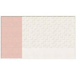 エコカラット デザインパッケージ フェミーナ × パールマスクII 形状名：3m2 品番：ECP-D...