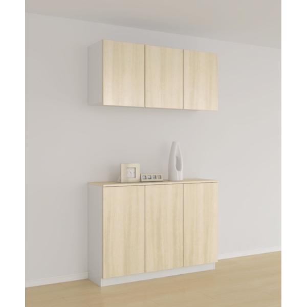 玄関収納 ラシッサDキナリモダン カウンター型 / 台輪納まり 1221C1S W：1,200mm ...