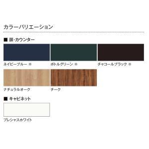 特注サイズ 玄関収納 ラシッサD ヴィンティア...の詳細画像1