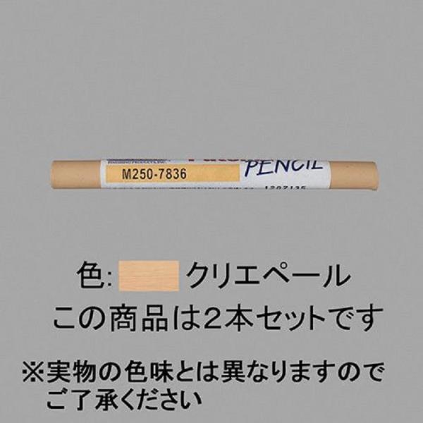 パッチャルペンシル / 2本入り 部品色：クリエペール NZZZ182 交換用 部品 LIXIL リ...
