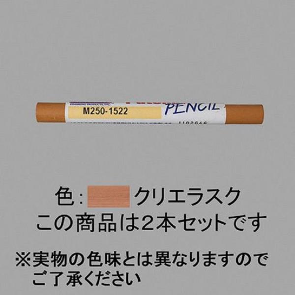 パッチャルペンシル / 2本入り 部品色：クリエラスク NZZZ183 交換用 部品 LIXIL リ...