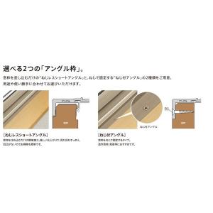 サーモスx Low E複層ガラス アルゴンガス入 呼称 樹脂アルミ複合サッシ 引違い窓 2枚建 呼称 その他 W 1235mm H 570mm Lixil リクシル Sx Hukusou Clair