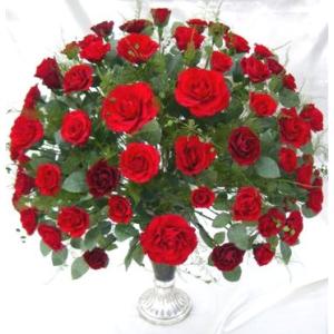60本の真っ赤なバラ レッドローズファンアレンジ プリザーブドフラワー 60rose M プリザーブドフラワーギフトclaps値引きする の 高速配送抜群 の