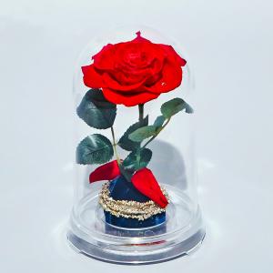 美女と野獣 バラ プリザーブドフラワー花束 アレンジメント の商品一覧 プリザーブドフラワー 花 ガーデニング 通販 Yahoo ショッピング