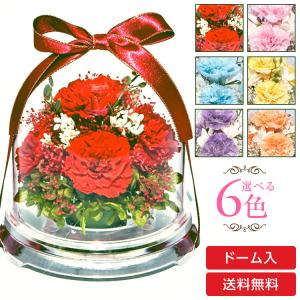 プリザーブドフラワー 送料無料 お祝い 誕生日 ...の商品画像