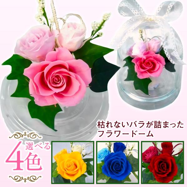 プリザーブドフラワー 送料無料 お祝い 誕生日 枯れない花 フラワードーム 小ブーケ バラ プレゼン...