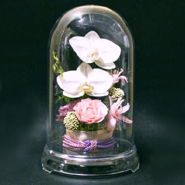 プリザーブドフラワー 送料無料 お祝い 誕生日 枯れない花 和風 胡蝶蘭 チュベローズ フラワードー...