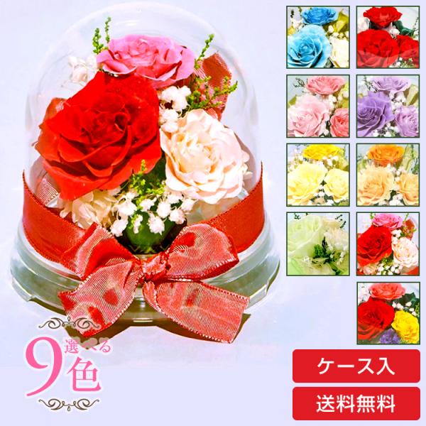 プリザーブドフラワー 送料無料 お祝い 誕生日 枯れない花 ドーム 芽 バラ プレゼント インテリア...