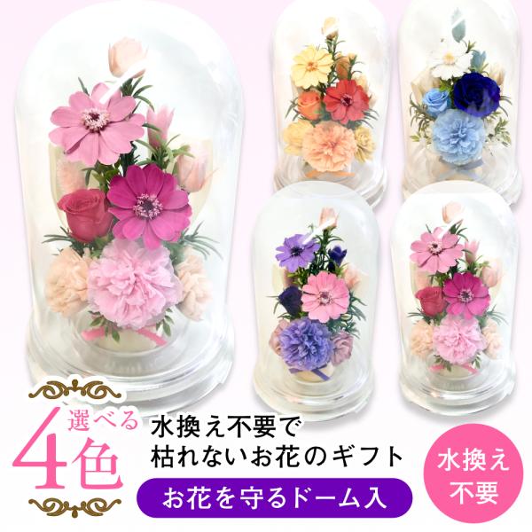 プリザーブドフラワー 送料無料 カーネーション バラ 花飾り フラワードーム プレゼント インテリア...