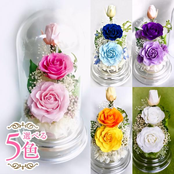 プリザーブドフラワー 送料無料 お祝い 誕生日 枯れない花 バラ フラワードーム 小さめ プレゼント...