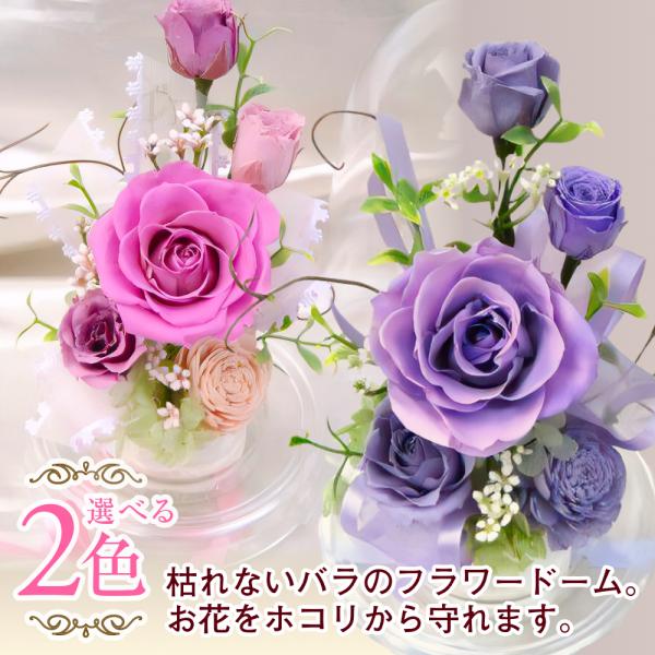 プリザーブドフラワー 送料無料 お祝い 誕生日 枯れない花 ドーム 萌 バラ プレゼント インテリア...