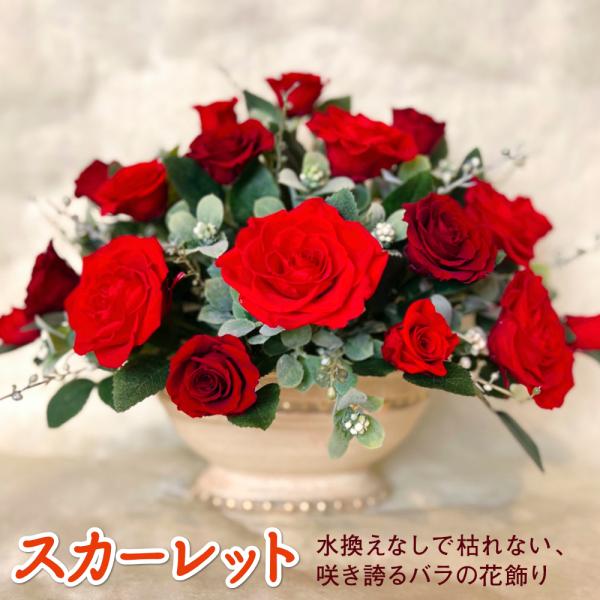 プリザーブドフラワー 送料無料 お祝い 誕生日 枯れない花 花器付き バラ 花飾り スカーレット プ...
