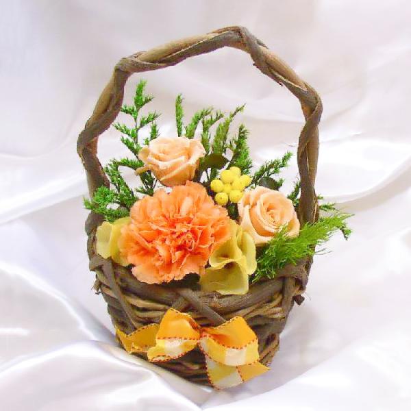 プリザーブドフラワー 送料無料 お祝い 誕生日 枯れない花 かご カゴ カーネーション バラ プレゼ...