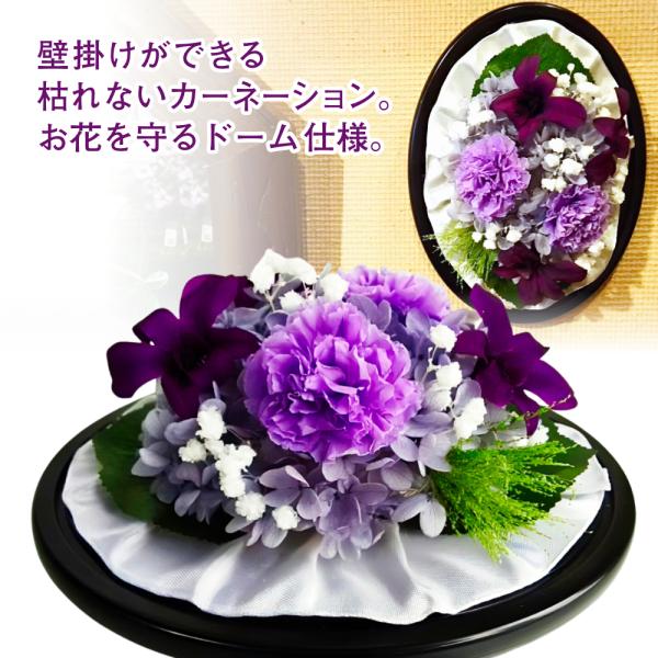 プリザーブドフラワー 送料無料 お祝い 誕生日 枯れない花 フラワードーム 壁掛け カーネーション ...