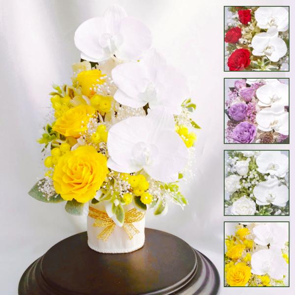 プリザーブドフラワー 送料無料 お祝い 誕生日 枯れない花 胡蝶蘭 バラ 結婚 出産 敬老の日 プレ...