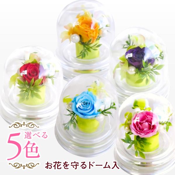 プリザーブドフラワー 送料無料 お祝い 誕生日 枯れない花 フラワードーム 小さめ プレゼント お祝...