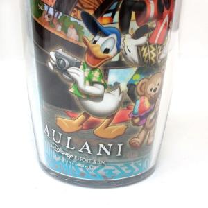 タンブラー アウラニ ハワイ 限定 ディズニー...の詳細画像3
