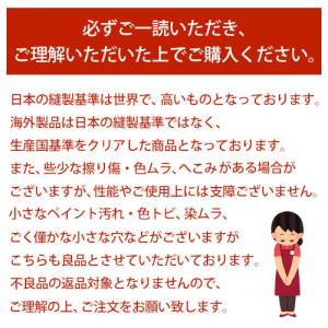 タンブラー アウラニ ハワイ 限定 ディズニー...の詳細画像5