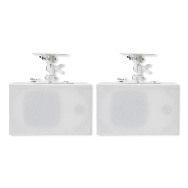 ダイトーボイス 天吊りスピーカー DVT-WD1 シングルスピーカー壁掛け 天井ブラケット付き 定格...