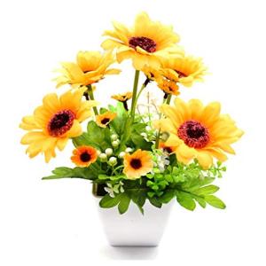 玄関先を彩る おしゃれな屋外用フェイクグリーンランキング 年 おすすめ10選