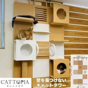 メーカー直送) CATTOPIA 3連結 トンネル付き A-244 工事不要 キャット