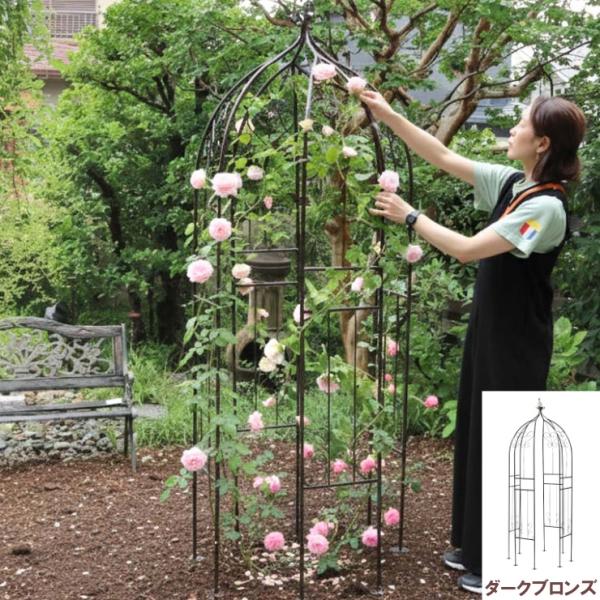 (メーカー直送) 屋外 おしゃれ 庭 アイアンハーフアーチ(オベリスクキット) ダークブロンズ IF...