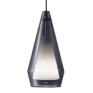 パナソニック LEDペンダント LGB16459 Panasonic パナソニック レール用ペンダントライト スモーク LED